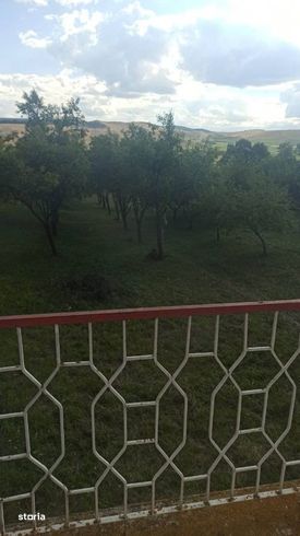 Casa de vacanta cu teren 1.2 ha-5