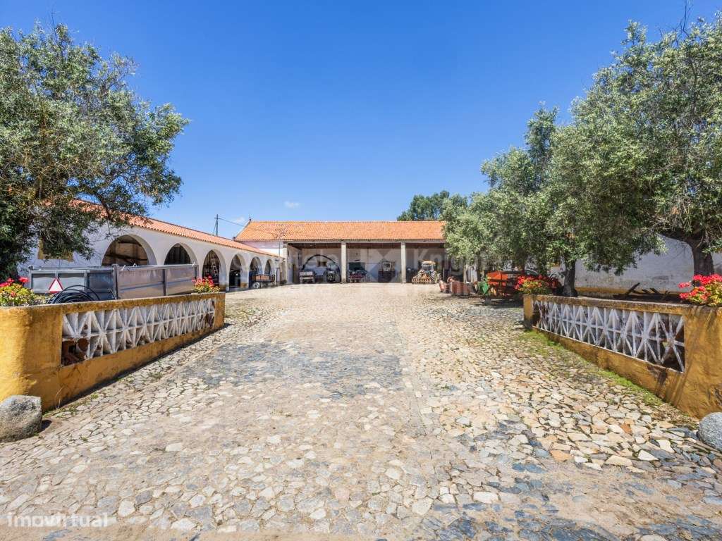 Herdades para venda em Reguengos de Monsaraz - Grande imagem: 3/50