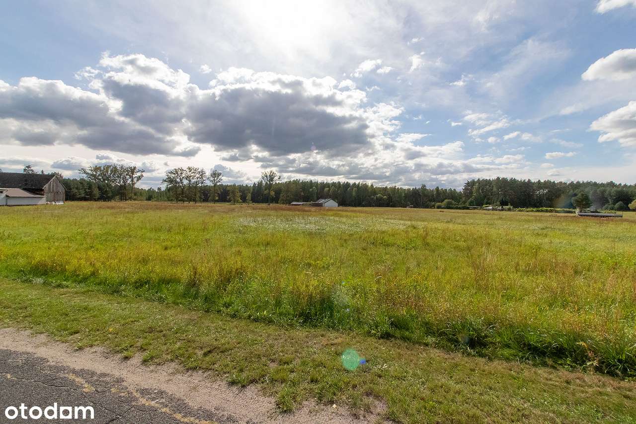 Dom na obrzeżach lasu. - Pełny obrazek: 2/20