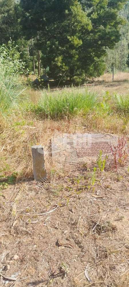 TERRENO PARA CONSTRUÇÃO DE MORADIA - Grande imagem: 4/6