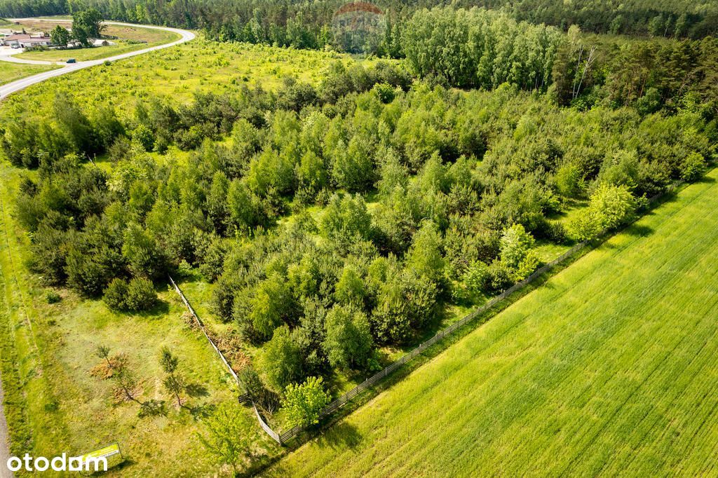 Baboszewo-Śródborze! 1,74 Ha Działka Opodal S7