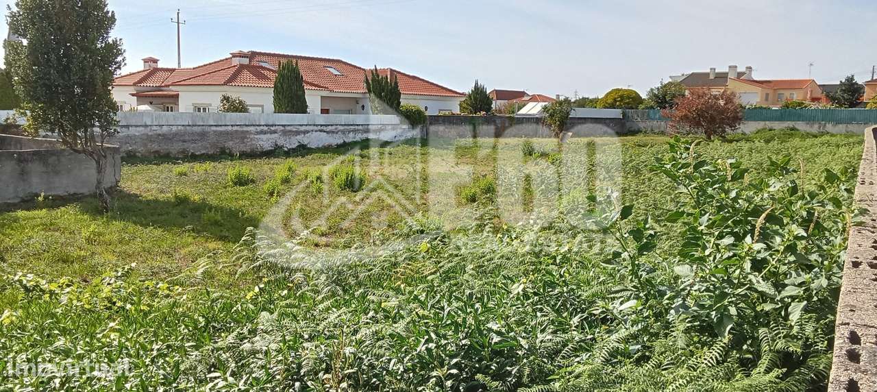 Terreno para  Moradia Cortegaça - Grande imagem: 5/9