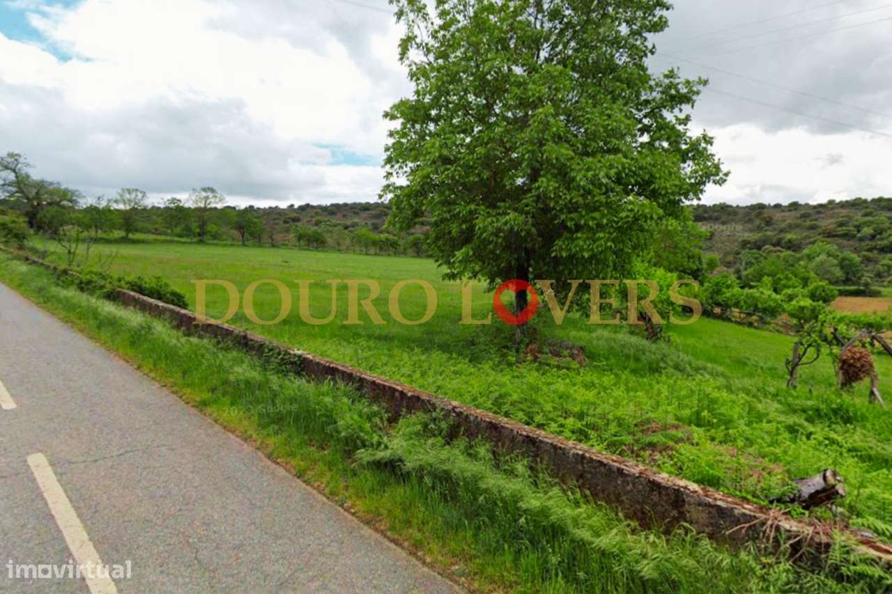 Terreno Agrícola para venda em Conlelas, Bragança - Grande imagem: 4/9