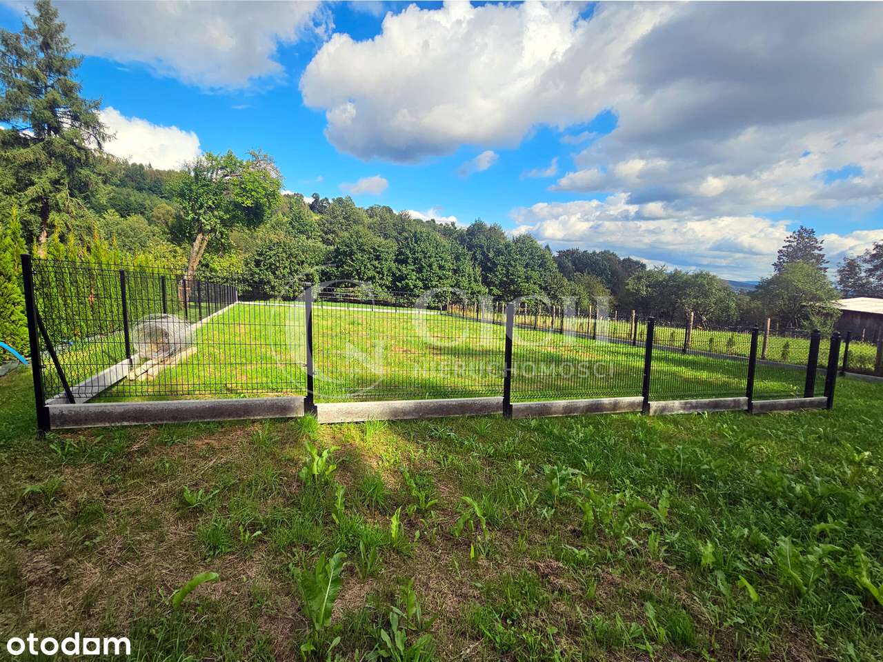 Działka budowlana w Piotrkowicach-5