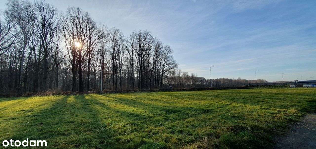 Działka budowlana 10 arów ( 8 lub 12 arów) - Pełny obrazek: 5/16