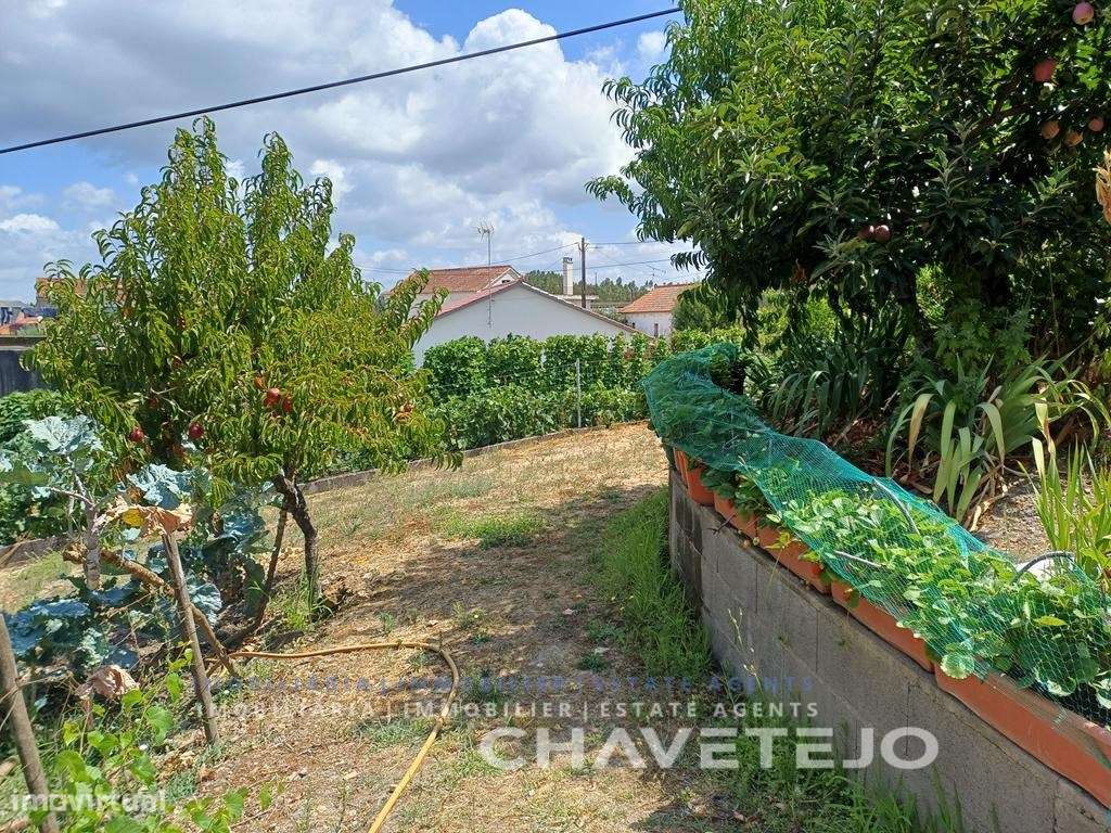 Moradia de Campo com Terreno, Furo de Água e Olival-35
