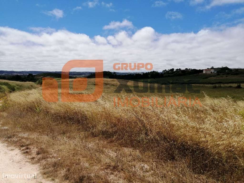 Terreno Rústico com quase 3 hct. plano- Zona de Óbidos! - Grande imagem: 5/6
