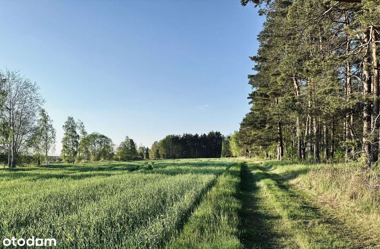 Działki budowlane dla miłośników natury