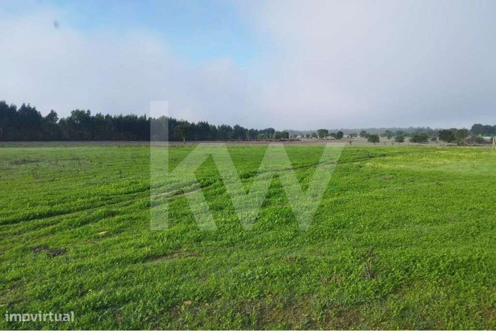 Terreno de 13 hectares em Foros da Charneca, com possibilidade de urba - Grande imagem: 1/10