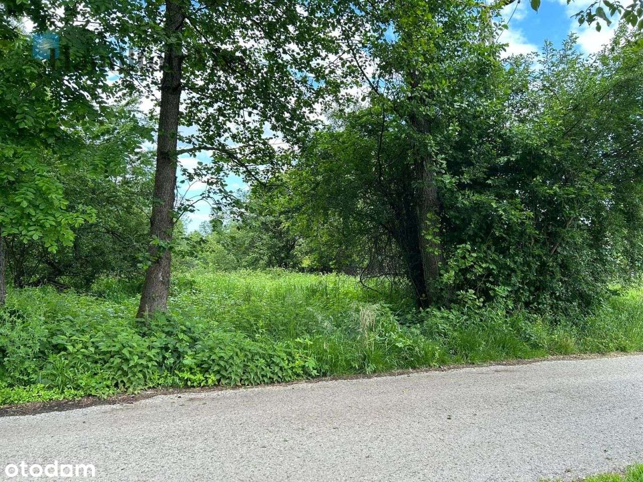 Działka budowlana 4100 m2 pod Krakowem - Pełny obrazek: 4/11