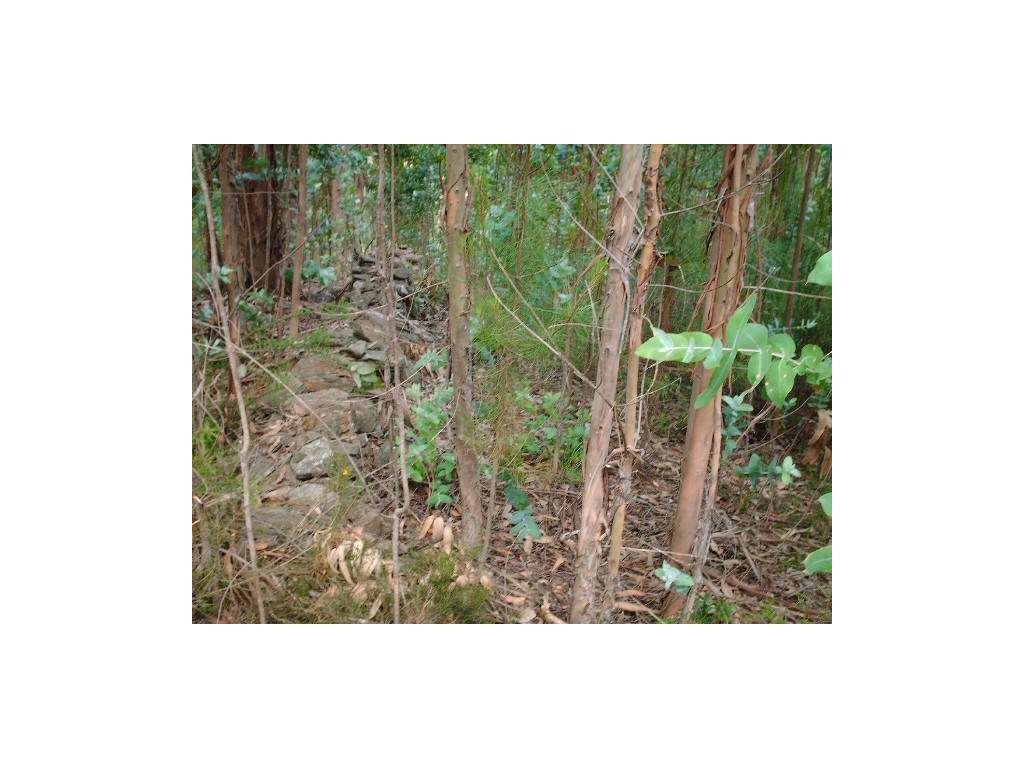 Terreno em Gondufe- Ponte de Lima - Grande imagem: 4/6