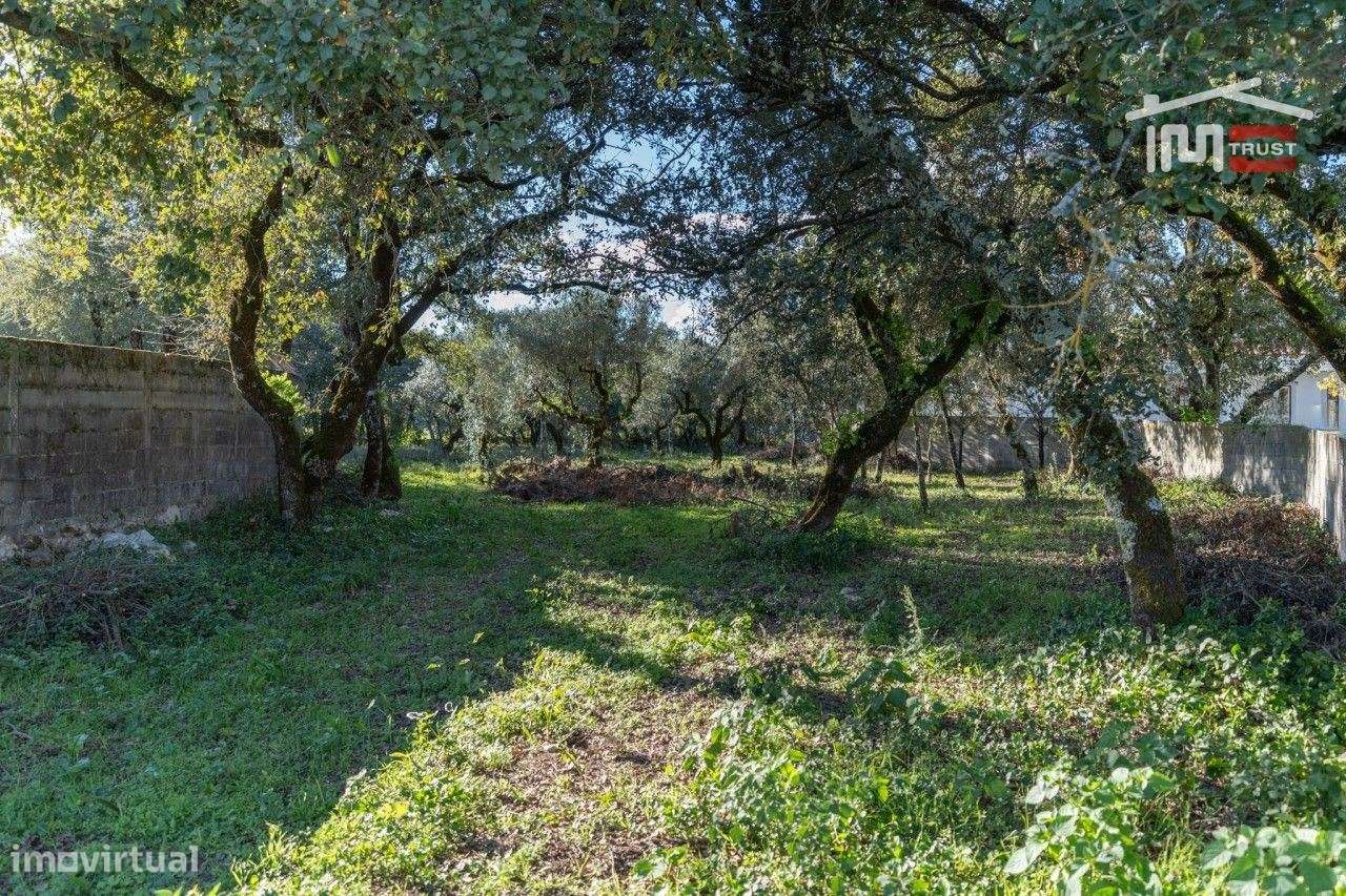 TERRENO COM 2182 m² PARA CONSTRUÇÃO PRÓXIMO DE FÁTIMA - Grande imagem: 4/8