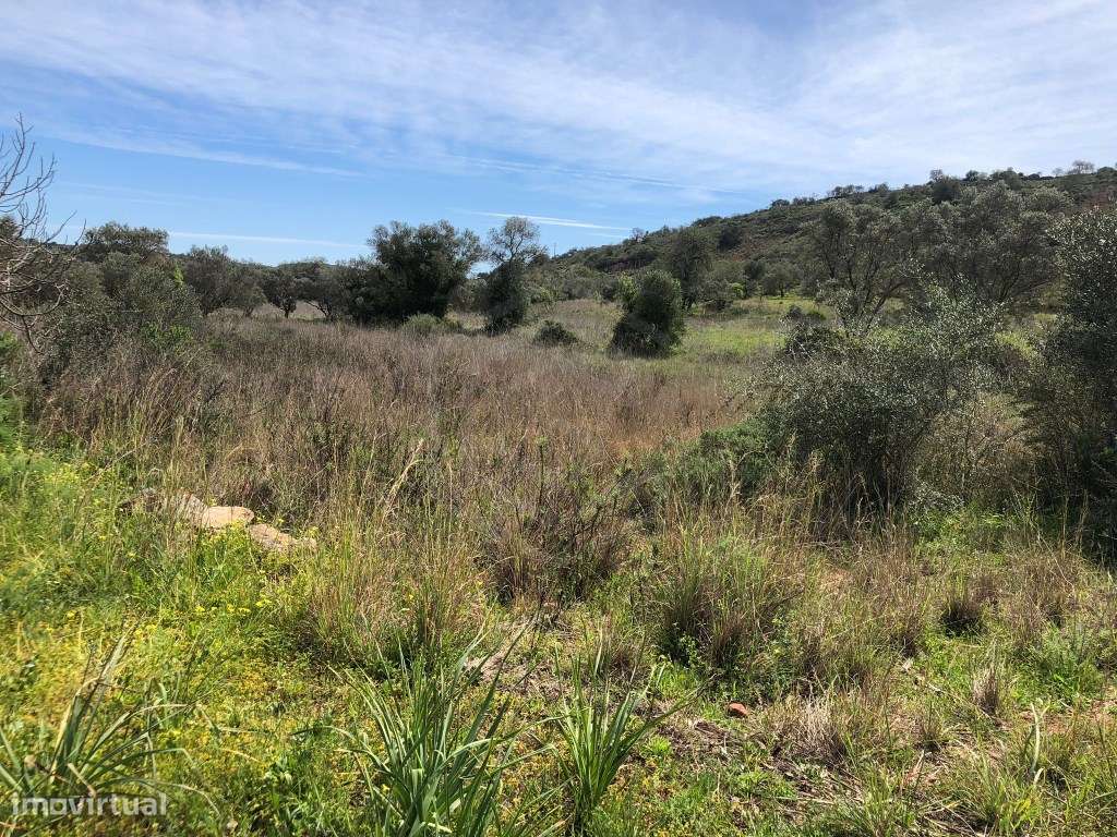 Lote de terreno rústico, Loulé, Algarve - Grande imagem: 2/11