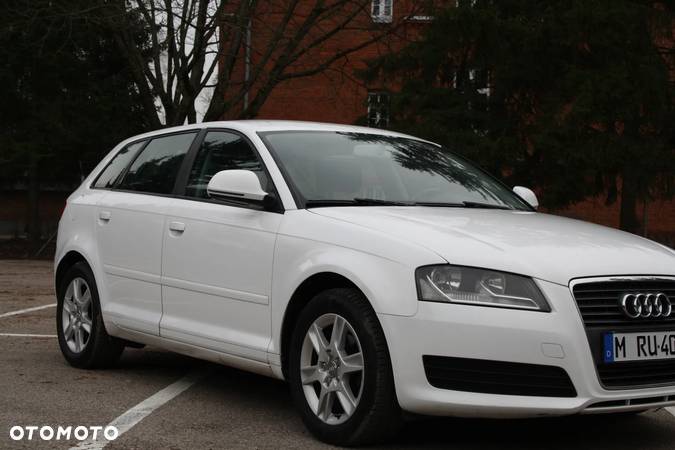 Audi A3 1.6 Ambition - 13