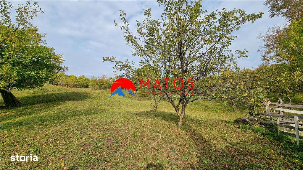 Teren intravilan 2918 mp de vânzare Talea, Prahova | 0% comision - Imagine principală: 2/10