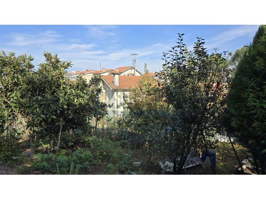 Oportunidade de Investimento: Projeto em curso para 36 Apartamentos...-5