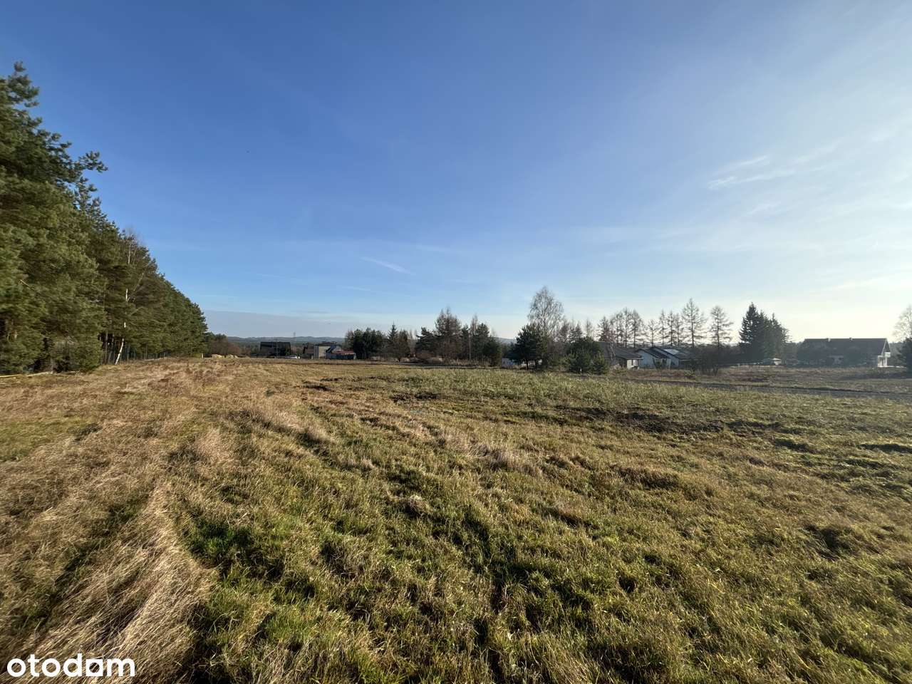 Widokowe działki budowlane na Jurze -  Biskupice Nowe gm. Olsztyn - Pełny obrazek: 5/8