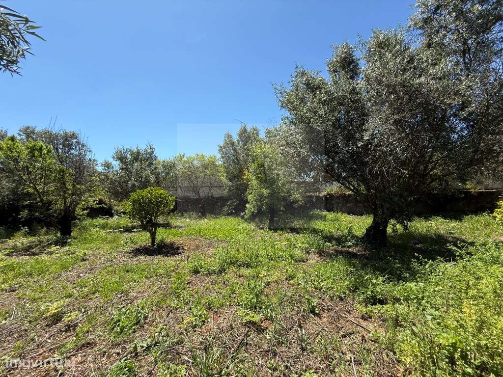 Terreno para Construção | São Brás de Alportel - Grande imagem: 4/18