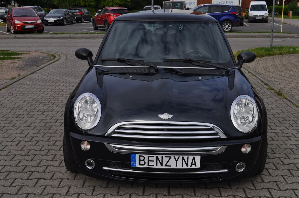 Mini One salt 2006