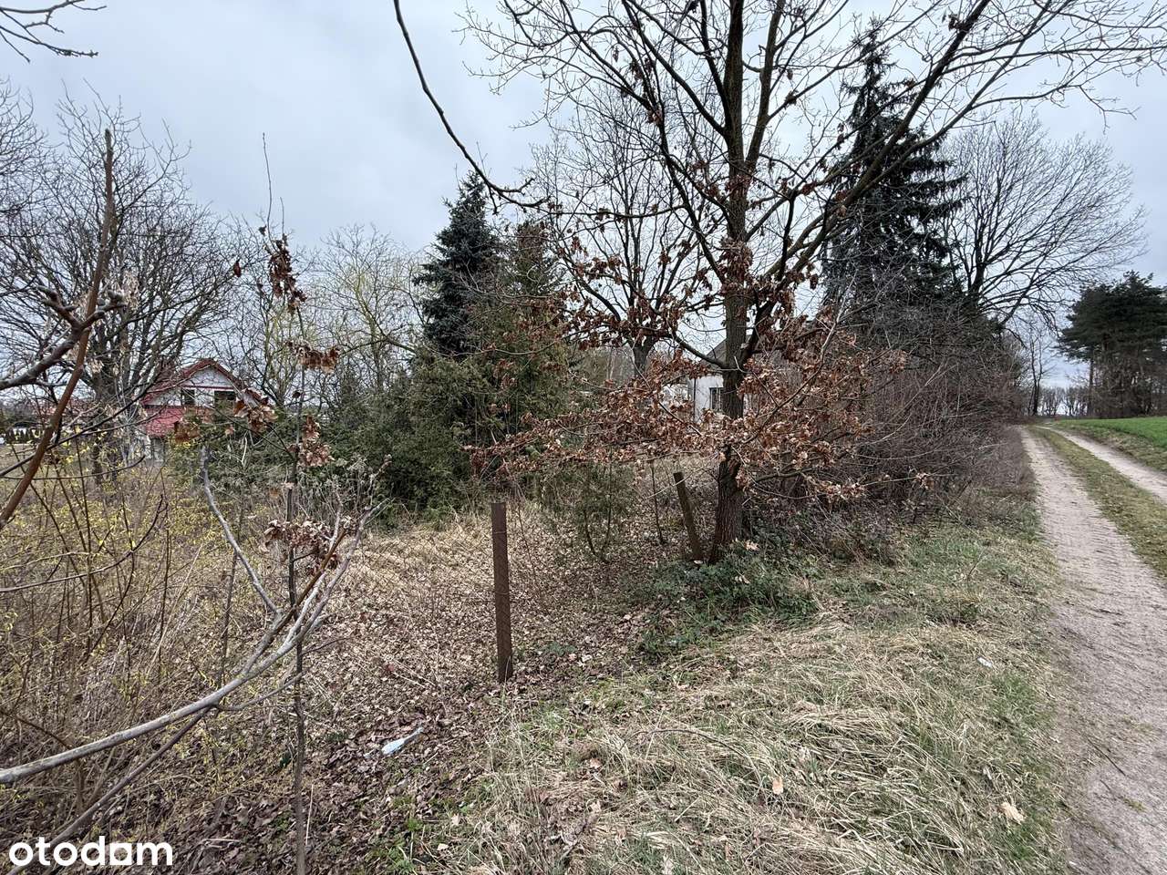 Działka, 5 041 m², Siedlce-3
