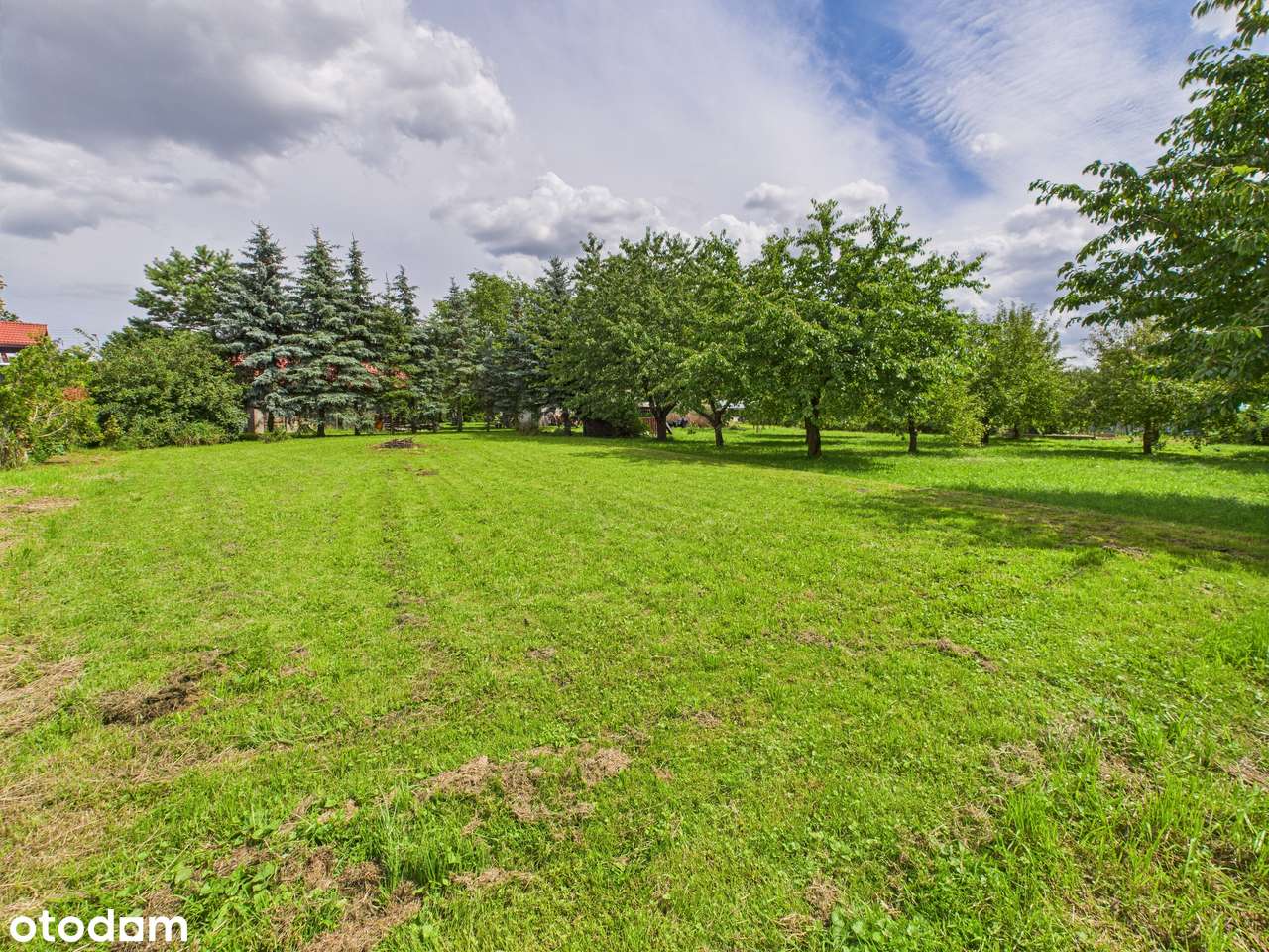 Dom z dużą działką-możliwość zamiany na mieszkanie z dopłatą! - Pełny obrazek: 4/9