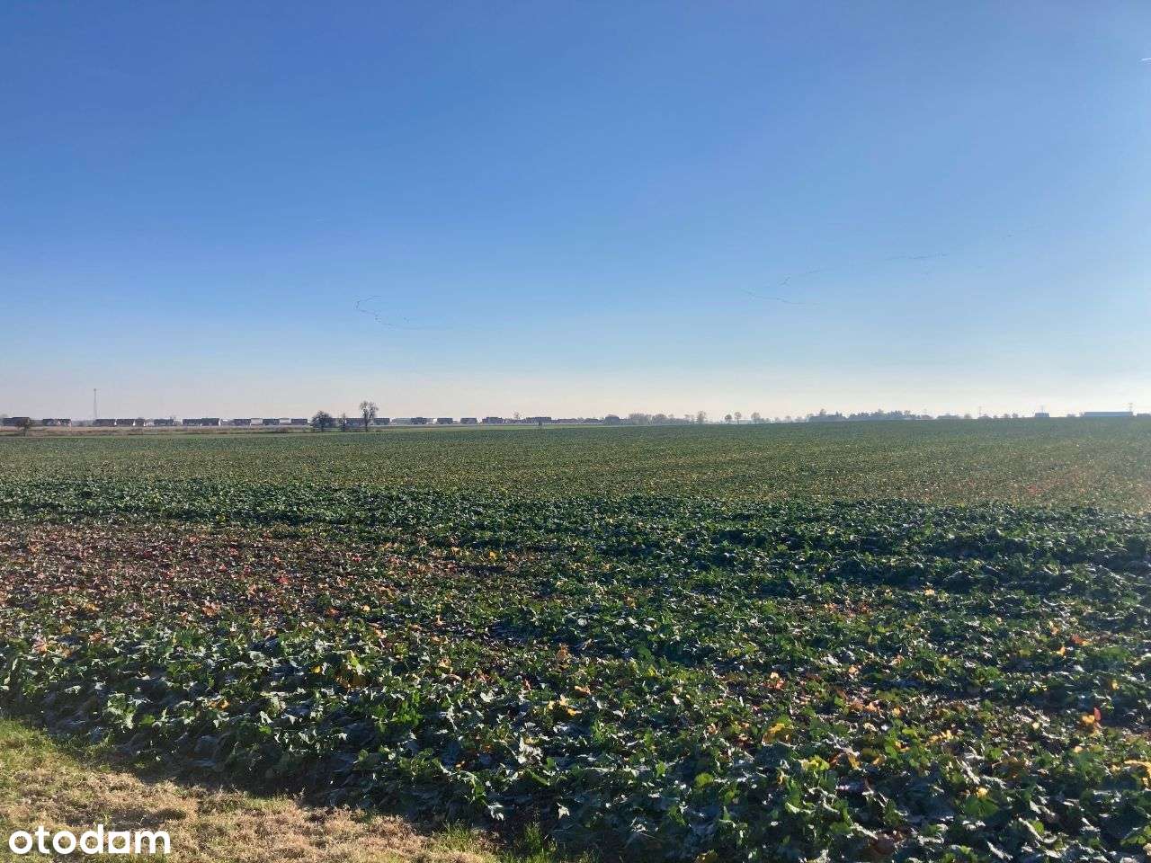 Działka 15min od Poznania Mrowino 3000m2-0