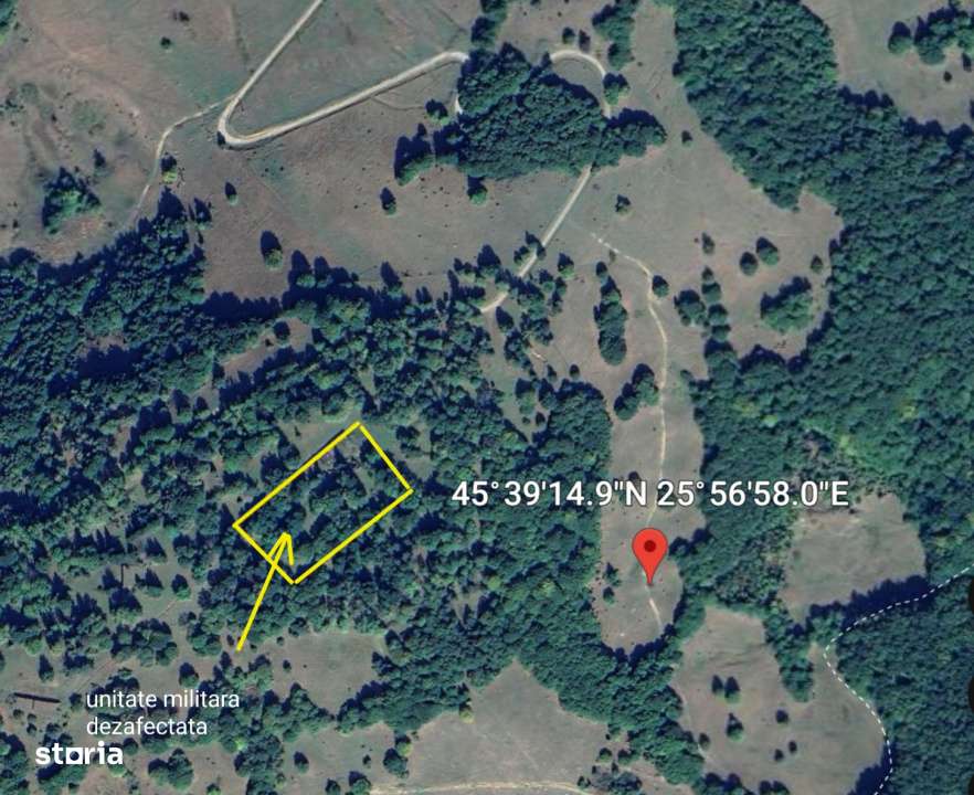 Teren - padure Teliu - Bradet - Imagine principală: 2/8