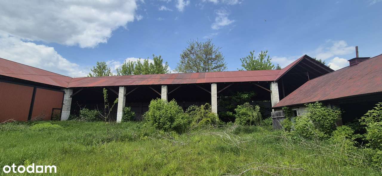 Syndyk sprzeda nieruchomość zabudowaną w m. Czerników Opatowski - Pełny obrazek: 5/8