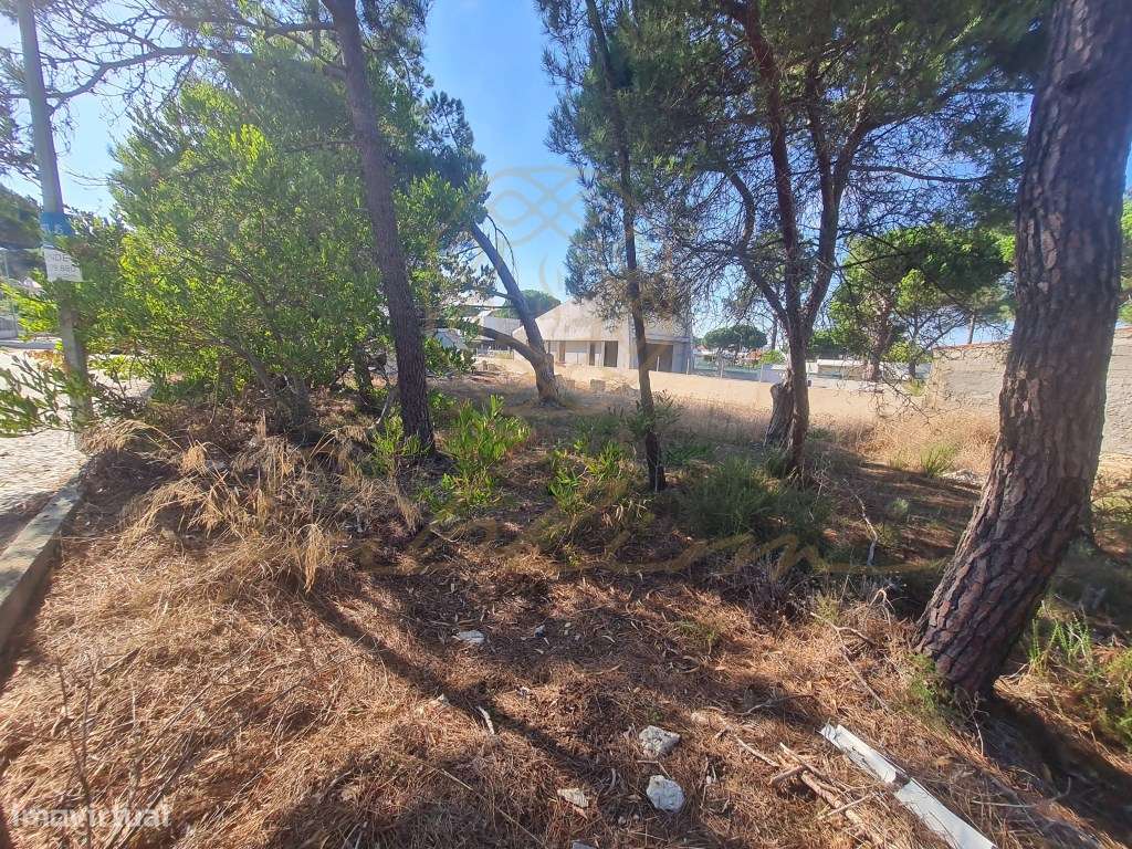 Lote de Terreno para construção Urbana-3