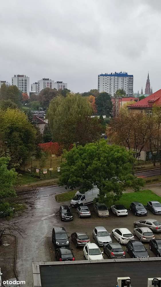 REZERWACJA - Pełny obrazek: 4/9