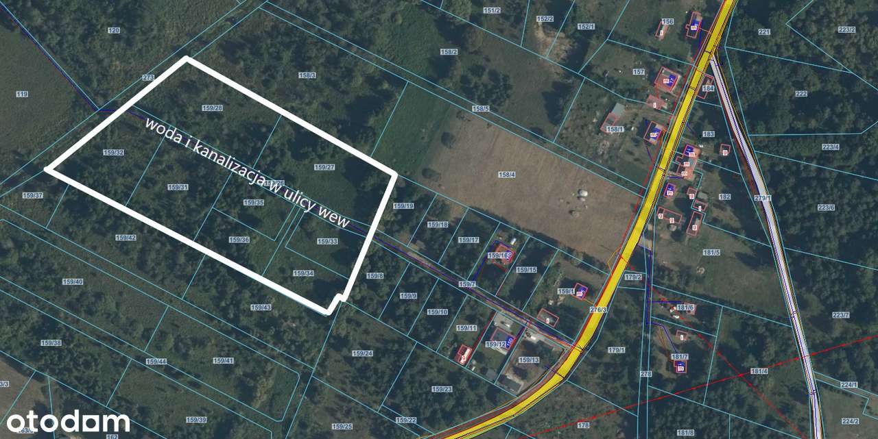 7 działek koło jeziora Brajnickiego bezpośrednio - Pełny obrazek: 5/7