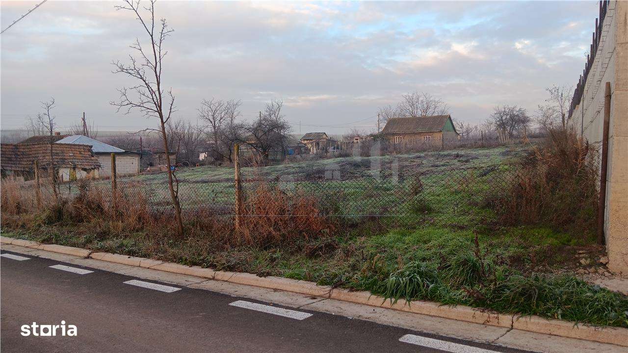 Movileni 20km de rond Agronomie Copou Teren 1000mp la asfalt cu utilta - Imagine principală: 3/5