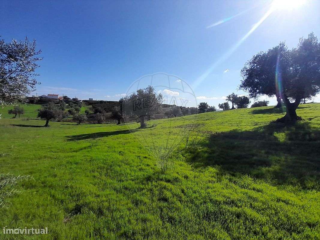 Terreno  para venda - Grande imagem: 4/6