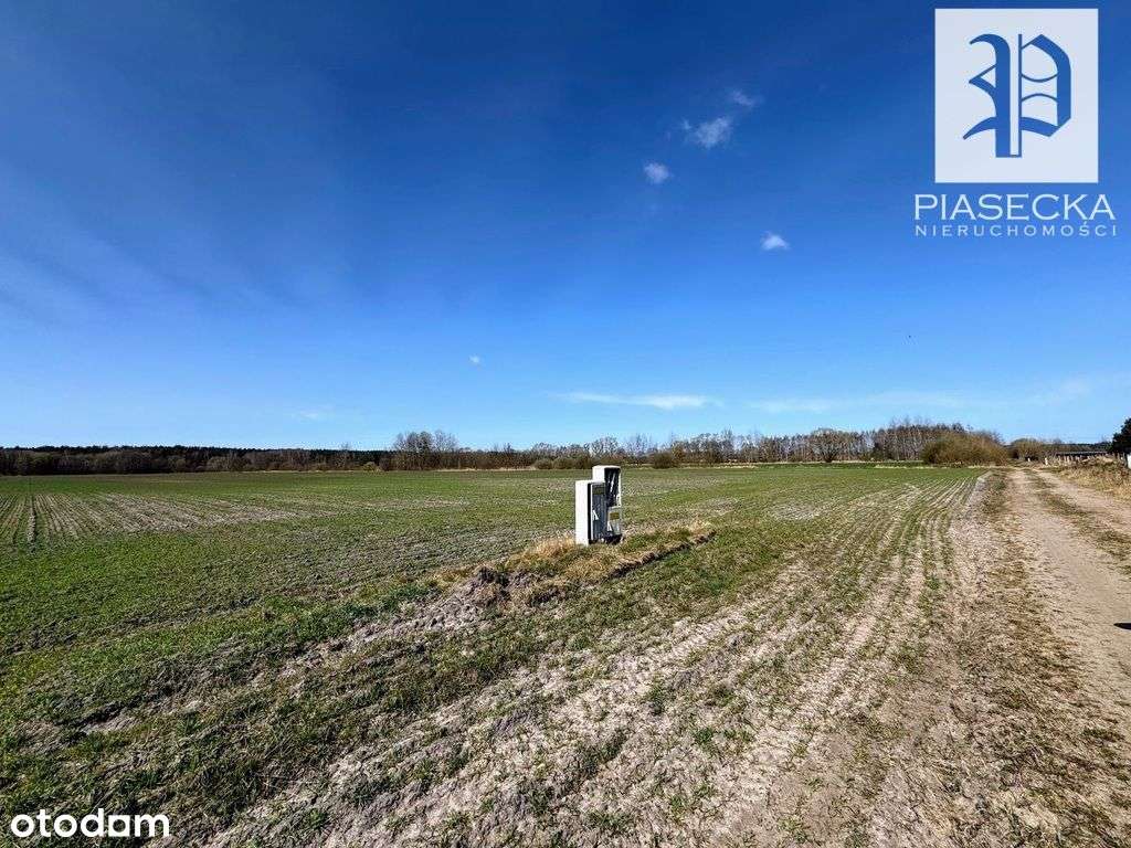 Działka budowlana na terenie zurbanizowanym z Wz - Pełny obrazek: 5/20