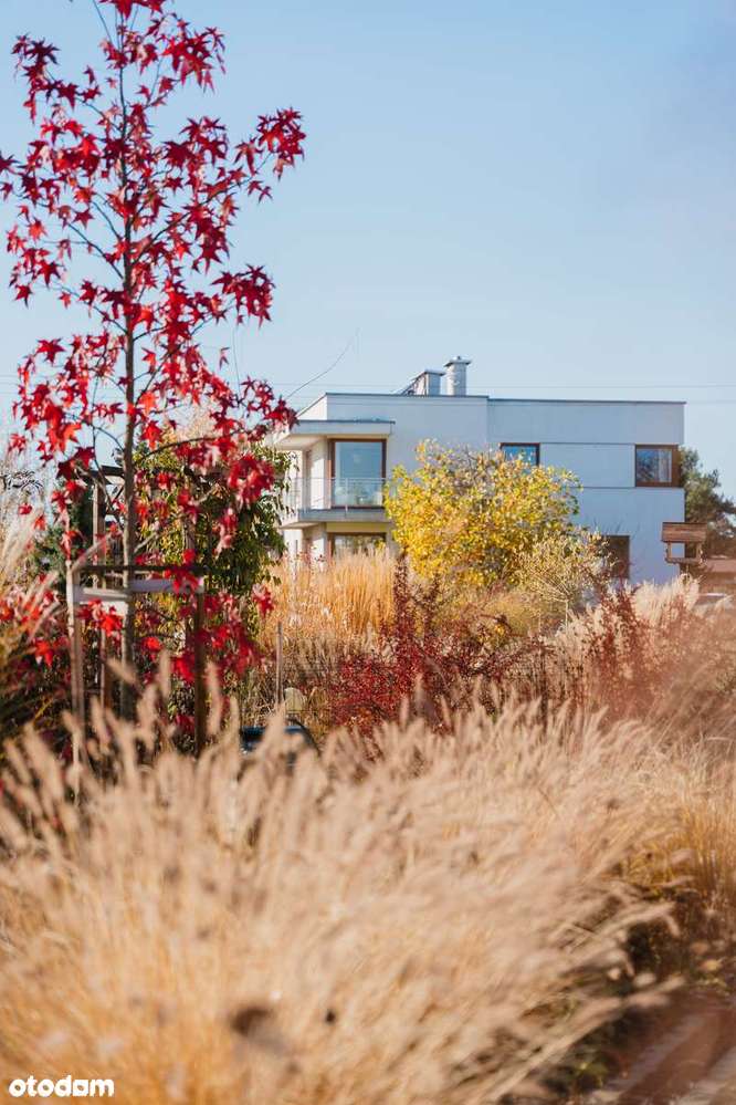 Działka budowlana 800 m² - Domy nad Stawami – Żernica k. Gliwic-7