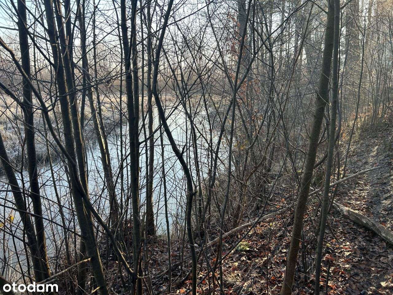 Działki z rzeką, od 50 do 300 m od zalewu bliżyńskiego - Pełny obrazek: 1/17