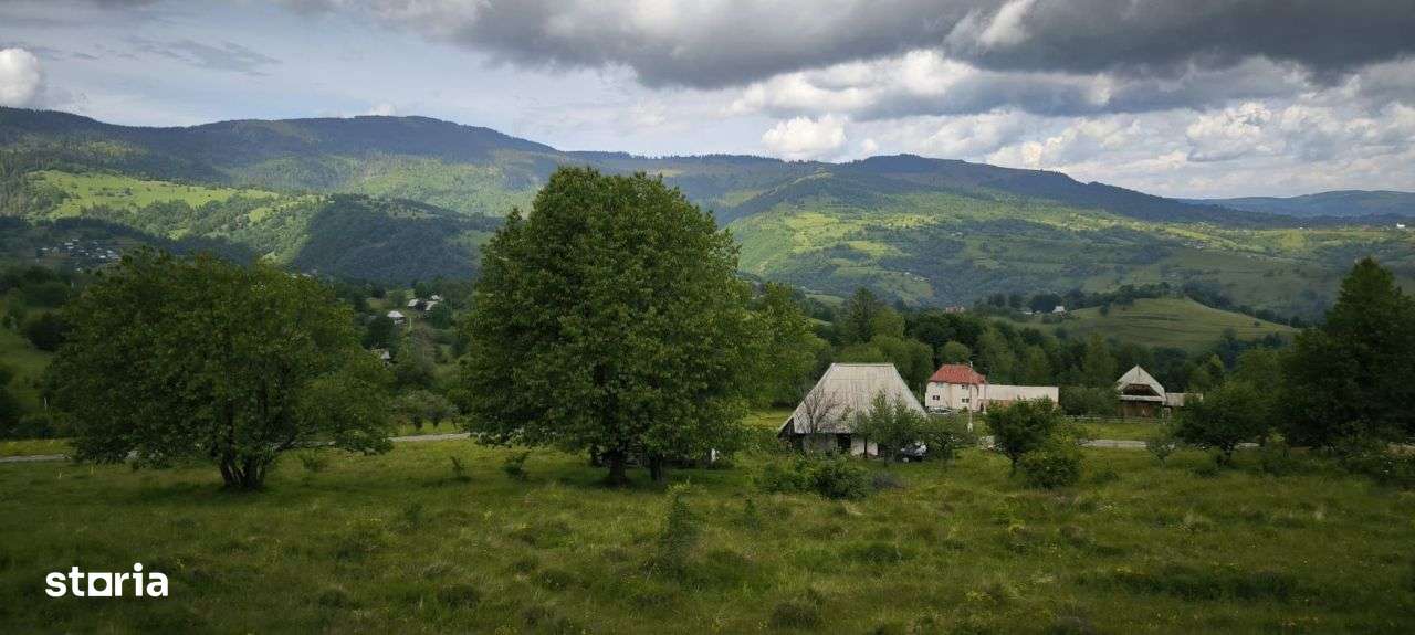 Teren Rogojel 15.000MP 8 EURO/MP - Imagine principală: 3/3