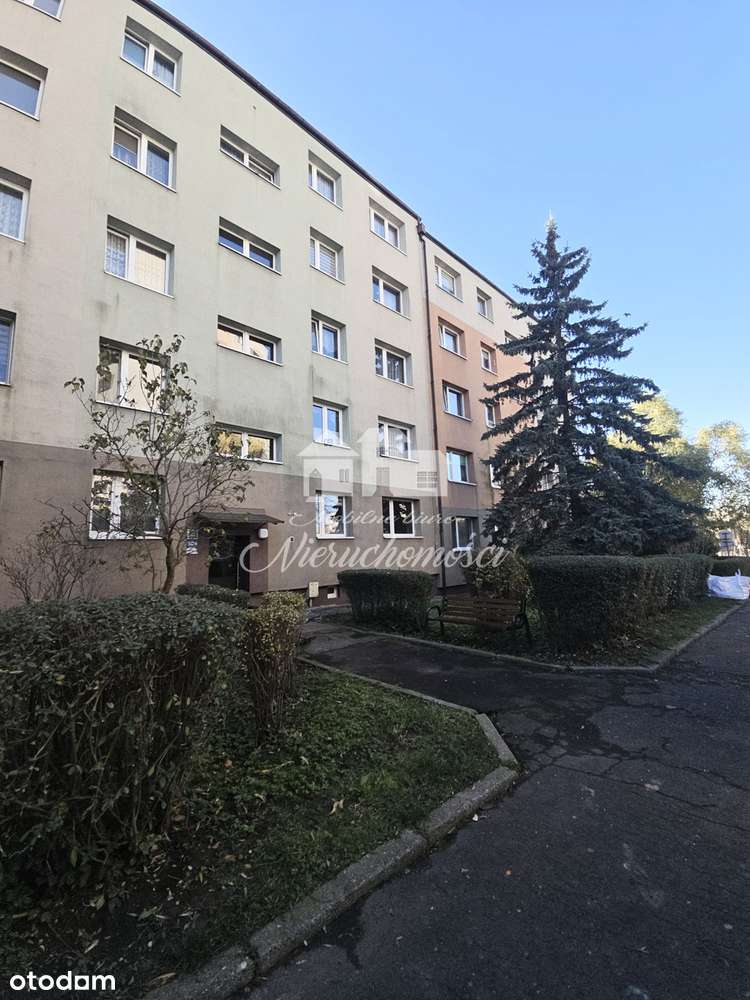 Komfortowe mieszkanie 3 pokojowe w dobrej lokalizacji.-12