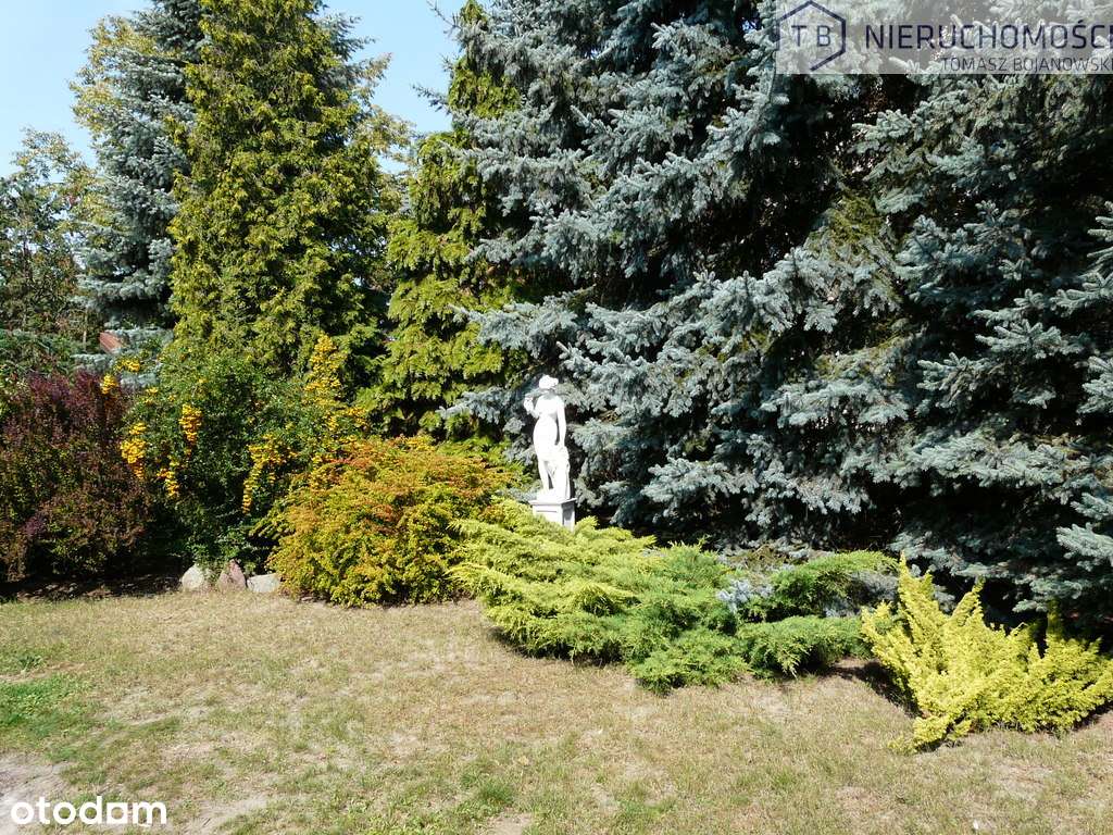 SPRZEDAM WILLĘ W SZAMOTUŁACH-CENTRUM-10