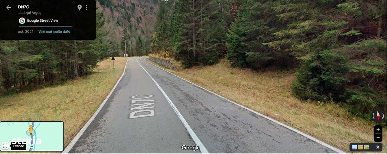 TEREN EXTRAVILAN PADURE PISCUL NEGRU ARGES-1