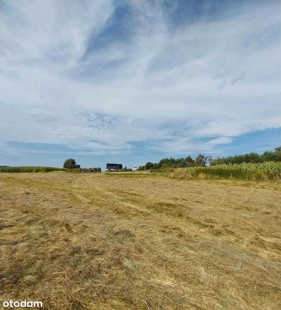 Działka Z Widokiem NA Zamek - Chudów 2090 m2 - Pełny obrazek: 4/7