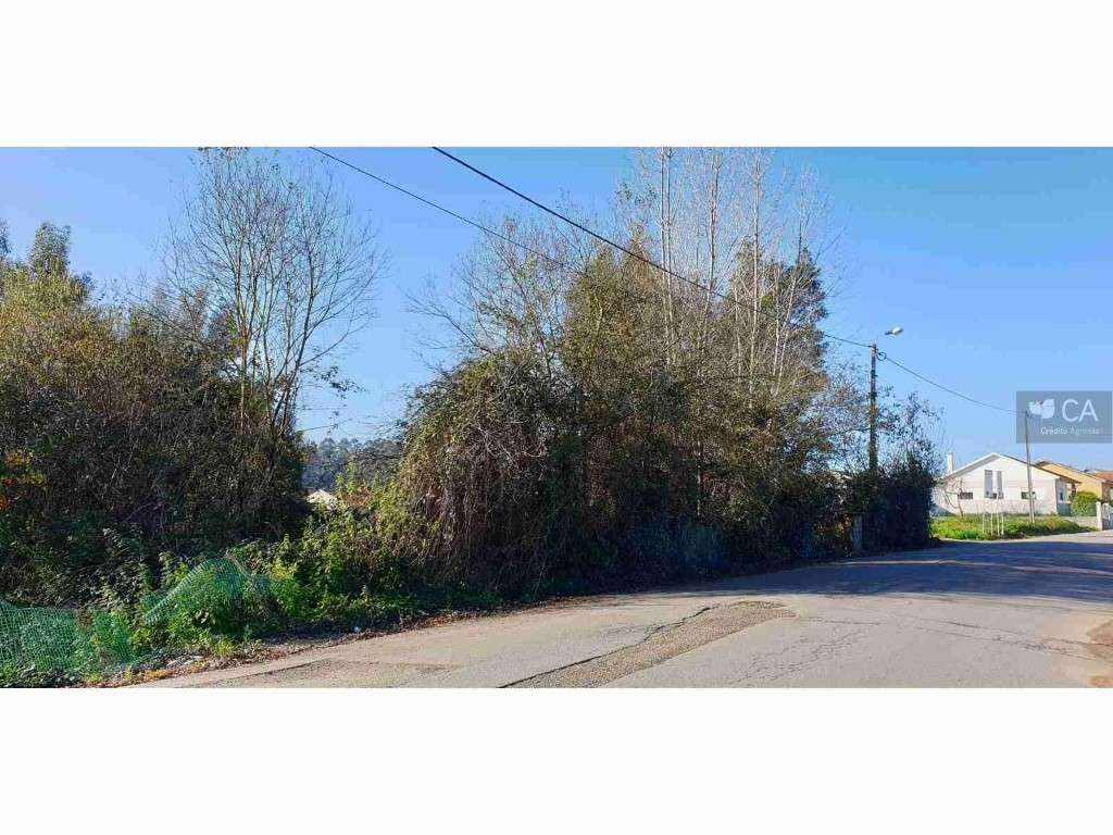 Terreno c/ 3150 mts em Esmojães, Anta Espinho - Grande imagem: 2/4