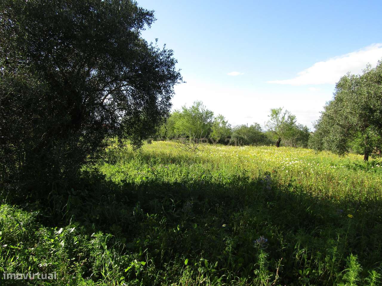 Terreno para Construção - Grande imagem: 4/9