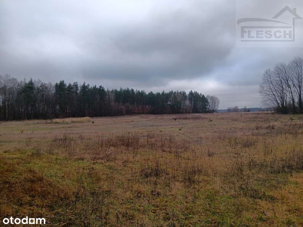 Bardzo ładna działka 12ha  Podlindowo Gm Mszczonów-9