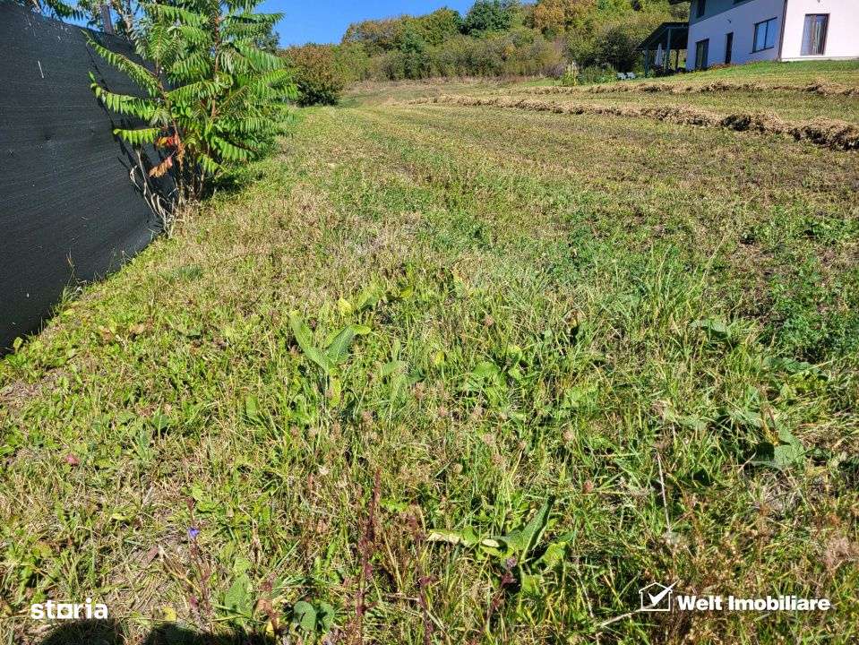 Teren de vanzare – Popesti Vale, 3600 mp - Imagine principală: 5/6