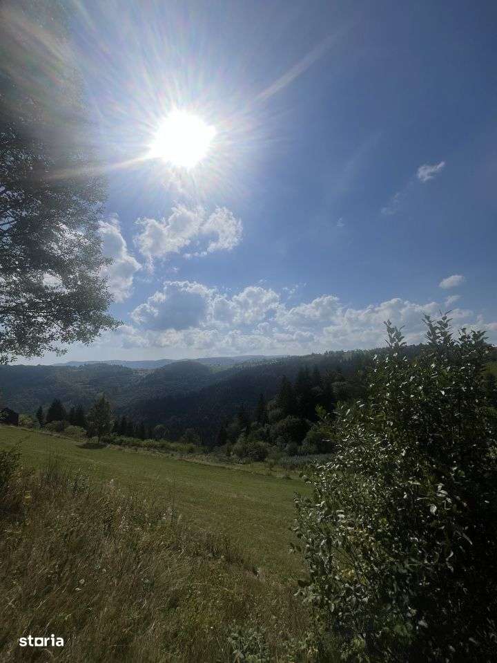 Teren 6200 mp, Marisel, zona frumoasa/ drumul principal - Imagine principală: 4/6