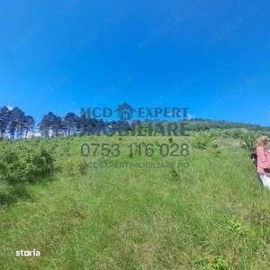 Teren Intravilan zona fermelor - Imagine principală: 3/3