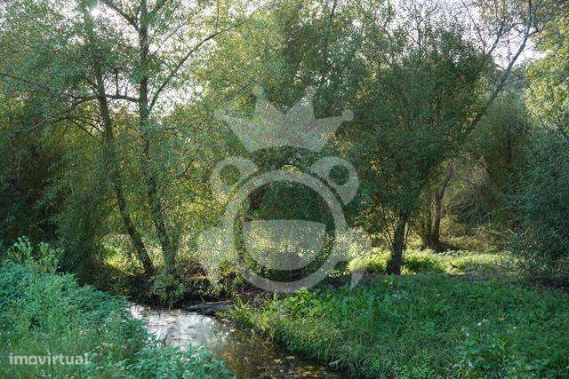 Propriedade com 6 habitações - Pintada - Montemor-o-Novo-40