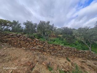 Terreno junto ao Tejo em Castelo Branco - Grande imagem: 4/15