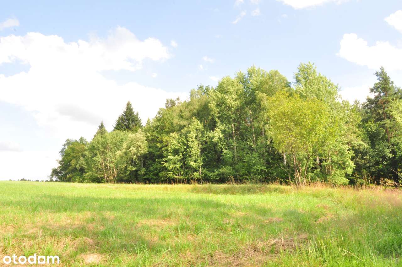 Sprzedam działkę budowlaną - Pełny obrazek: 4/6